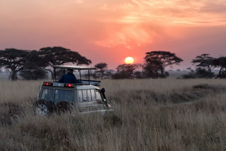 qué hacer en tanzania